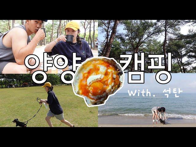 캠핑VLOG│양양월든캠프│애견동반캠핑│오토캠핑│물놀이│양양여행│부부캠핑│캠린이│camping