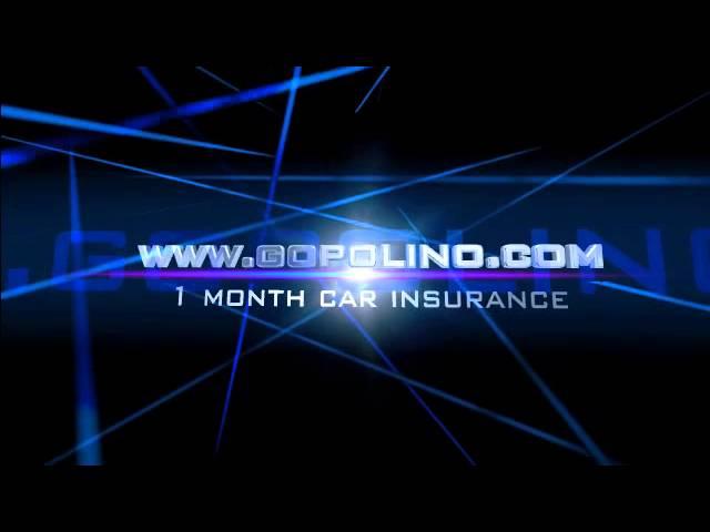 1 month car insurance - www.gopolino.com - 1 month car insurance