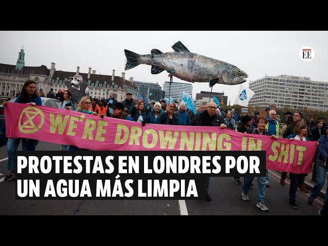 Protestas en Londres por un agua más limpia | El Espectador