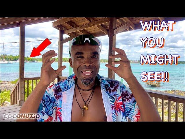 5 THINGS YOU MIGHT SEE ON THE BEACH ️ in BAYAHIBE/DOMINICUS  Dom Rep