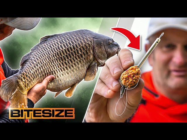 Catching MASSIVE Carp On Tiny Feeders! | Guru Bitesize #053