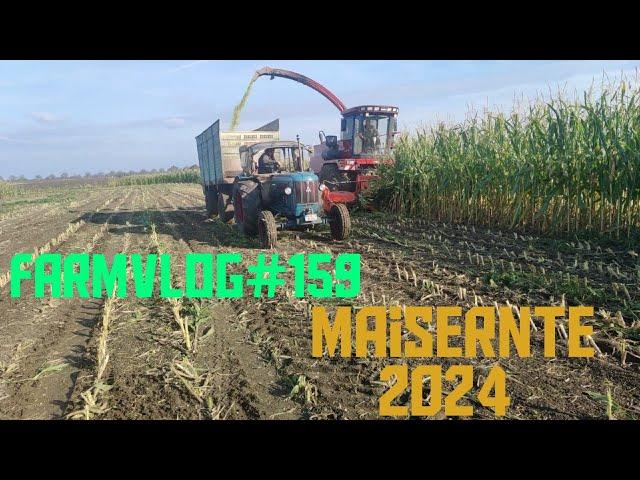 Farmvlog#159 Maisernte 2024