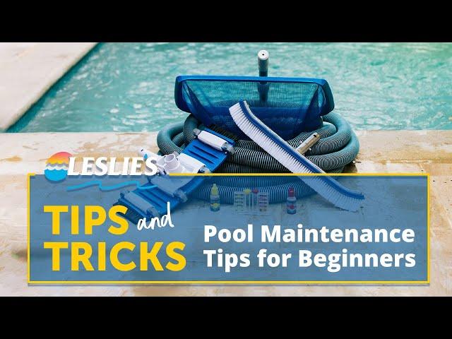 Tips & Tricks: Pool Maintenance Tips for Beginners | Leslie's