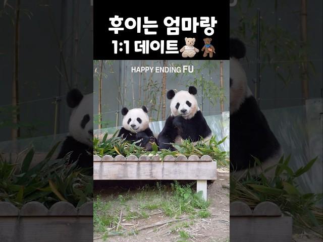 세상에서 엄마가 제일 좋은 아기곰🩷 루이 실내에서 잘때 둘만의 1:1데이트