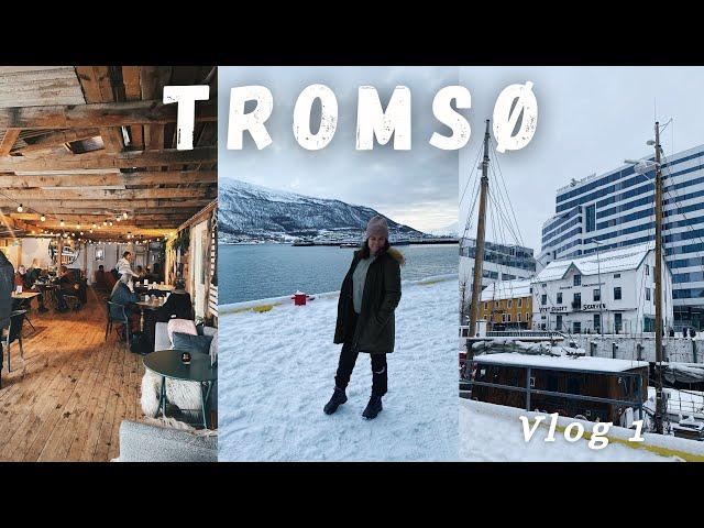 TROMSØ, NORWAY Vlog 1 - winter mountains, fresh fish, arctic circle, roadtrip