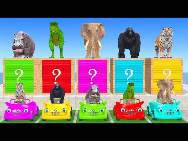 Cow, Elephant, Tiger, Gorilla, T-Rex Guess The Right Door ESCAPE ROOM CHALLENGE Animals Cage Game