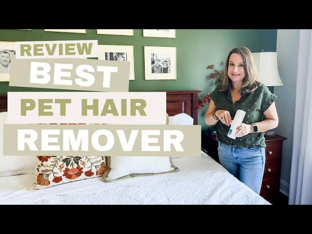 Review of Chom Chom Roller | Pet Hair Remover | Reusable Lint Roller | Cat and Dog Hair Remover