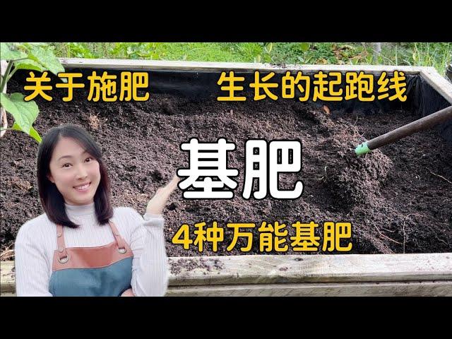 【种植79】4种万能的基肥 ，让蔬果的生长赢在起跑线上  4 kinds of base fertilisers for home gardening