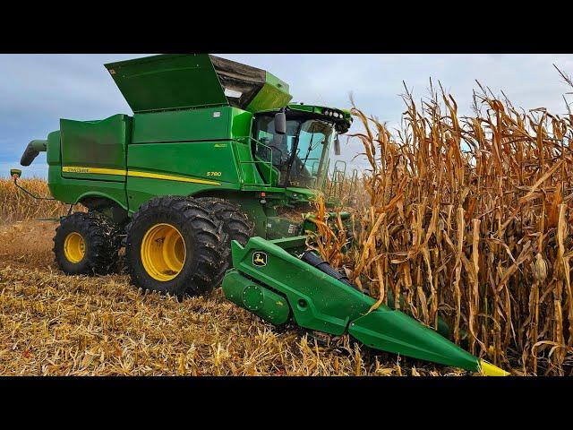 Fighting Mud, Rough Conditions and Ugly Downed Corn!