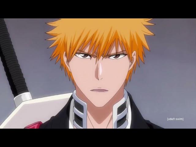 Ichigo plans to be a Soul Reaper