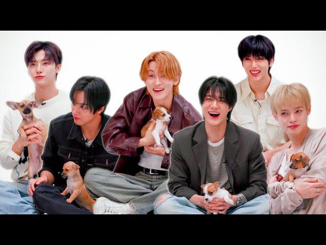 NCT DREAM: The Puppy Interview