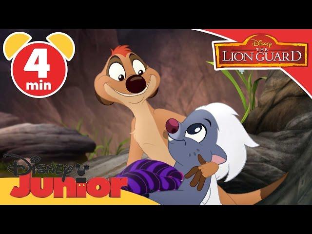 The Lion Guard | The Search for Utamu | Disney Junior UK