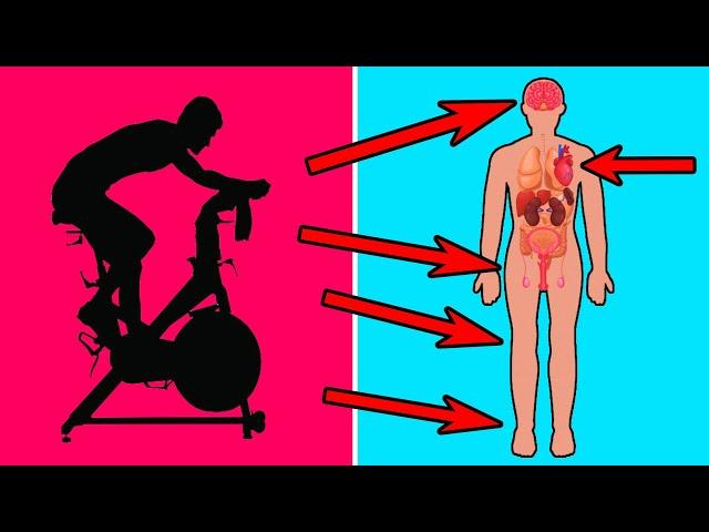 BENEFICIOS DEL CICLISMO INDOOR PARA TU CUERPO, MENTE Y ÁNIMO QUE DESEARÍAS HABER CONOCIDO ANTES