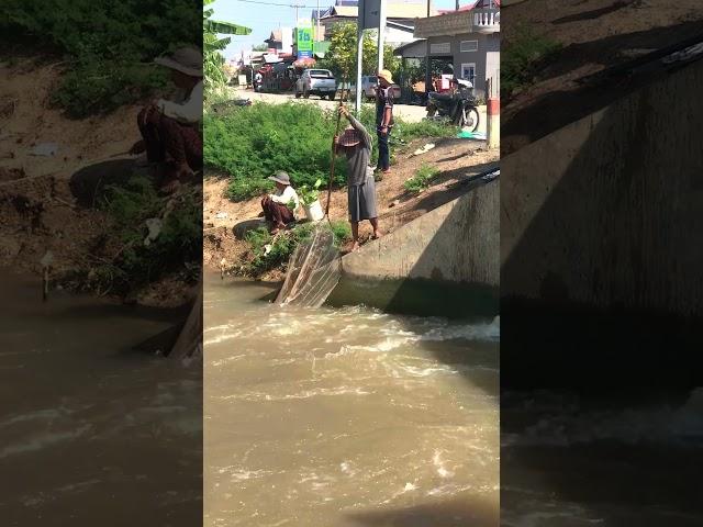 Real Life Fishing#Trending#Viral#Ep55