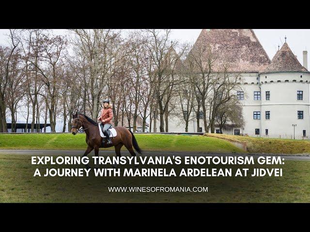 O bijuterie a enoturismului transilvănean: Marinela Ardelean explorează domeniul Jidvei