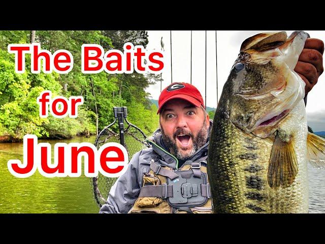 The Best Baits For June Bass Fishing