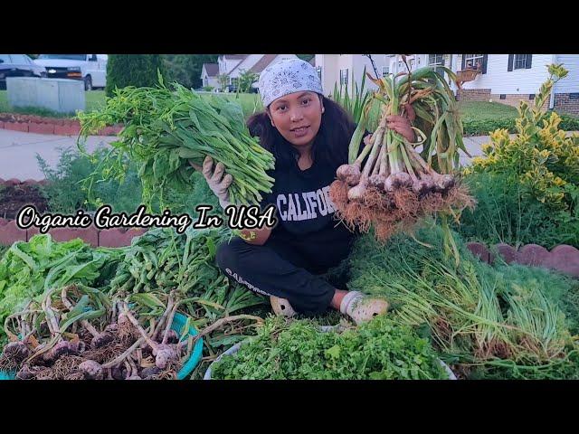 Organic Gardening In USA/Hard work Payoff/Jenna Shrestha Organic garden/What I Grow In My Garden?