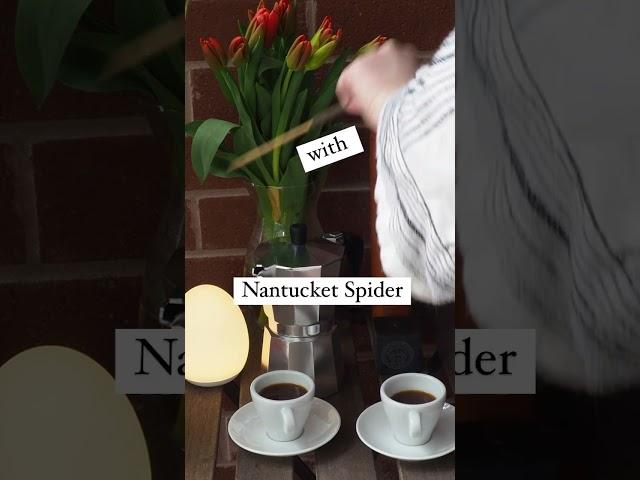 Morning Coffee With Nantucket Spider Repellent Incense Sticks