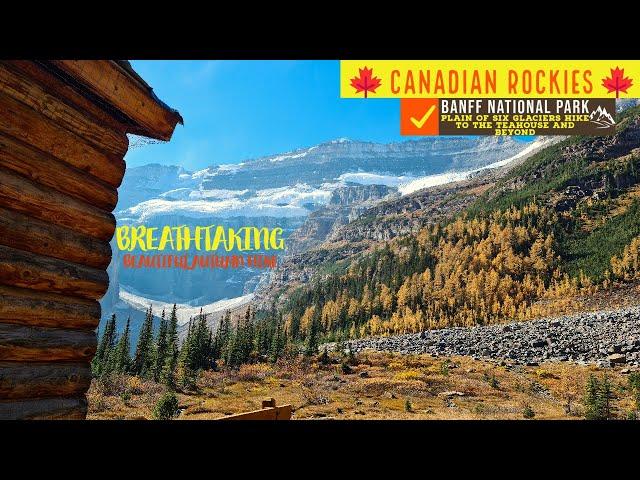 Canadian Rockies - Beautiful Autumn Day Hike to the Plain of 6 Glaciers in Banff N.P #hiking