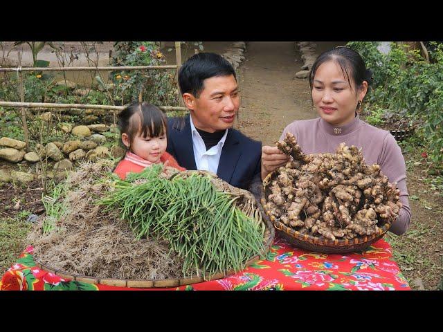 Ginger & Green Onions – Must-Have Spices in Vietnamese Cuisine! |  Lý Phúc An