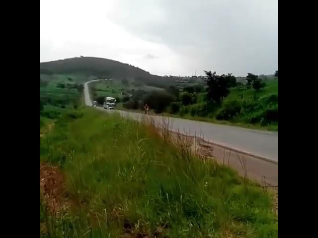 Golden Deer & New Force bounding to southern Highlands | TANZANIA