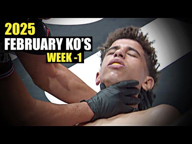 MMA & Boxing Knockouts I February 2025 Week 1