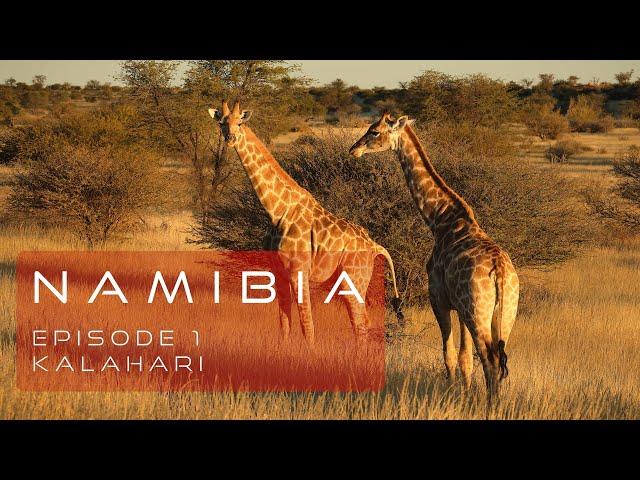 Namibia roadtrip - episode 1 Kalahari