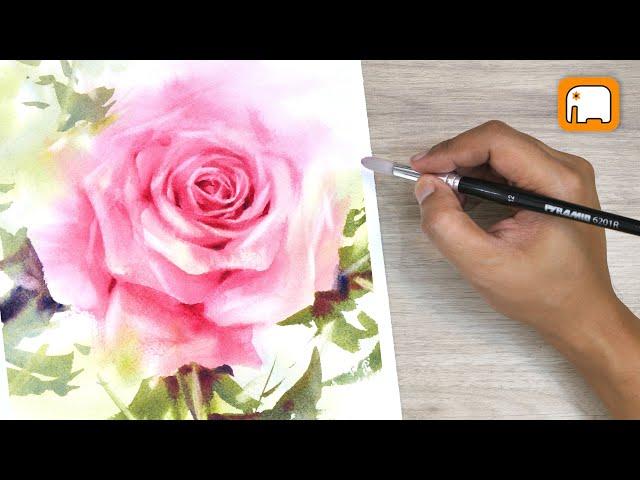 How to paint BEAUTIFUL PINK ROSE  WITHOUT DRAWING Watercolour tutorial Demonstration