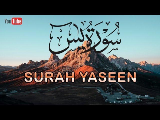 Surah Yasin(Yaseen) | Beautiful recitation in Arabic only | @Surahyasindaily| 036سورہ یٰس