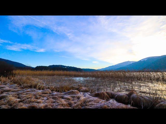 Turkey's Hidden Gem | Abant Lake | Vlog