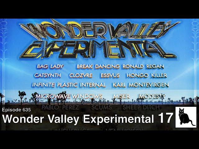 Wonder Valley Experimental Music Festival 17