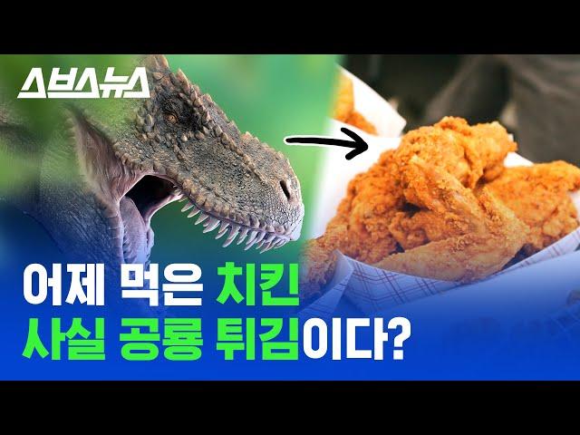 공룡이 멸종하지 않은 이유 과학적으로 설명해드림 / 스브스뉴스