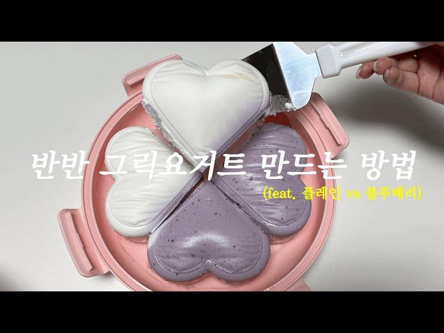 반반 그릭 요거트 만드는 방법 ‍ (플레인맛 & 블루베리맛)