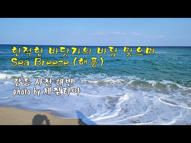 강릉 사천 해변 & 한적한 바닷가의 바람 맞으며 (Sea Breeze) 해풍 & photo by 체칠리아