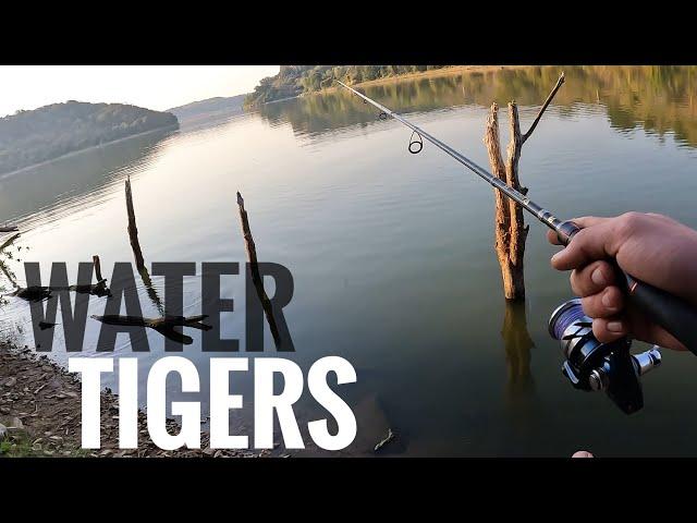 Fishing For Tiger Fish in Hippo infested Lake (Surprise catch!)