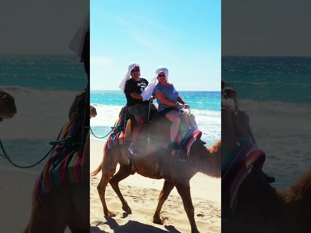 Riding Camels in Mexico! #shorts #mexico #camels