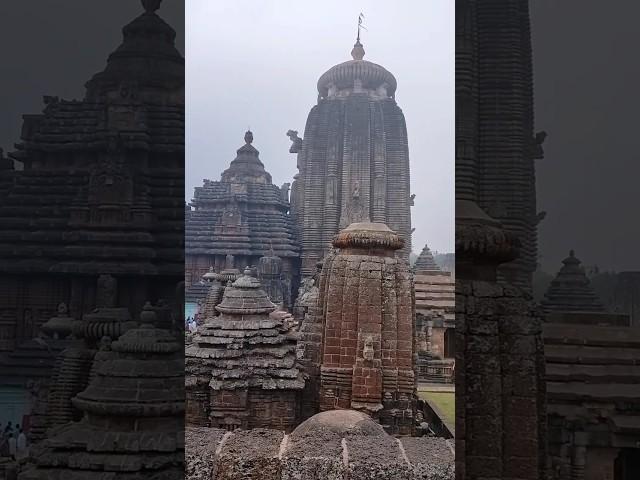 Lingaraj Temple Bhubaneswar #shorts #ytshorts #trending