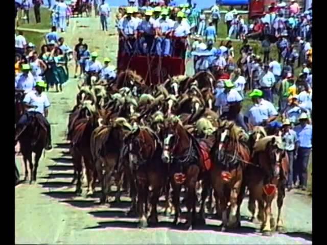 Sparrow 40-horse hitch, 1993, long version