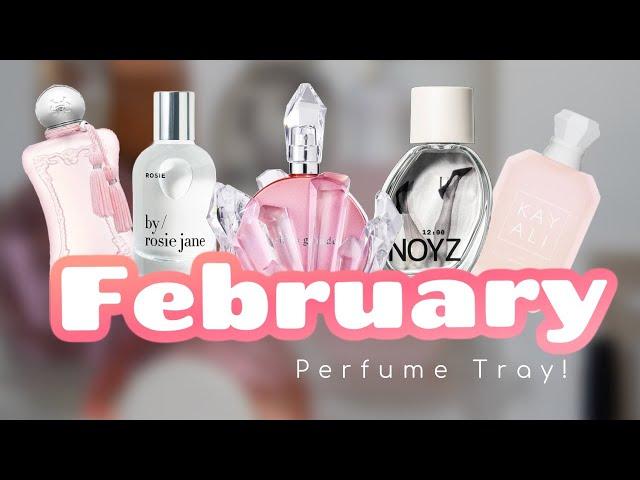 FEBRUARY PERFUME TRAY 2025!  | PERFUMES I WILL BE WEARING THIS MONTH | AMY GLAM 