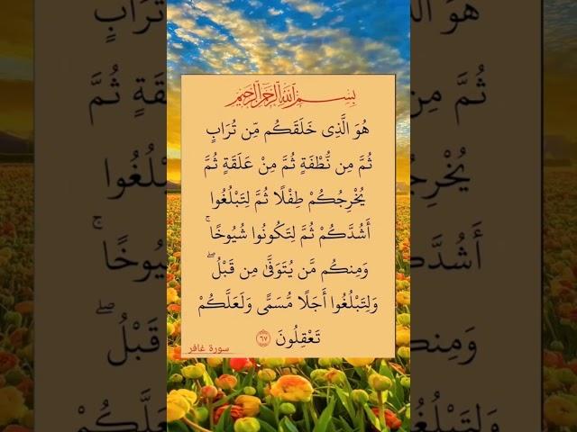 آيات من الذكر الحكيم