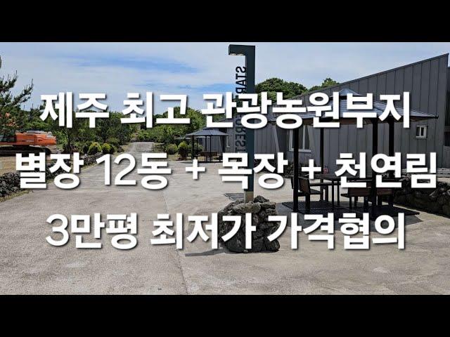 조천읍 교래리  제주 최고 관광농원부지별장 12동 + 목장 + 천연림3만평 가격협의 010 4436 0401 제주도부동산 토지 매매  급매물