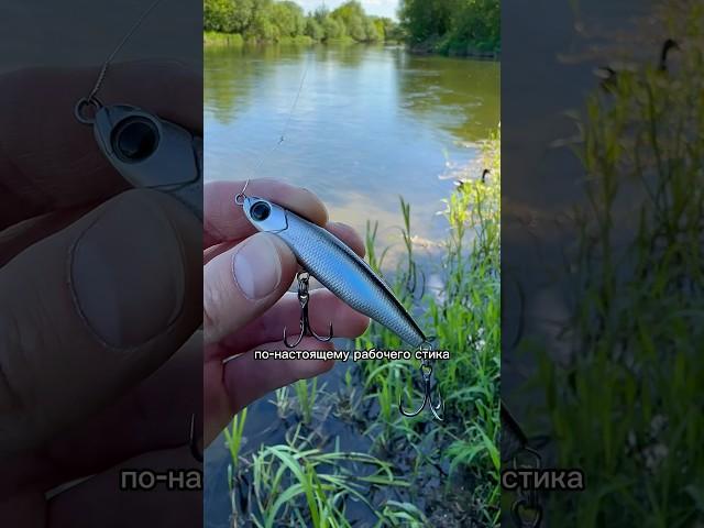 Рабочий стик, какой он? Или «Рекордный голавль»!  #поймалотпусти #голавль #рыбалка