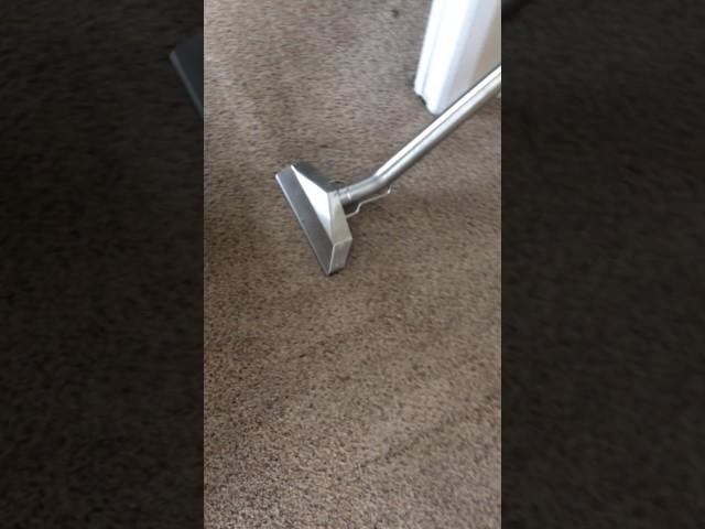 Pasco County Florida Who NEEDS thier carpet or tile cleaned?