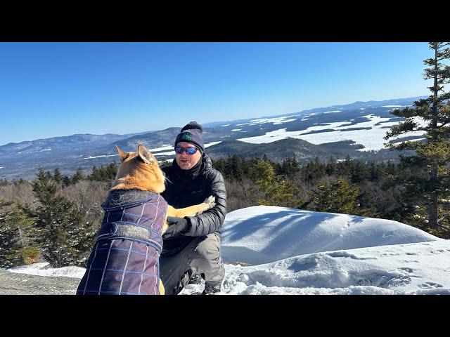 Mount Morgan: Happy Birthday Chewie