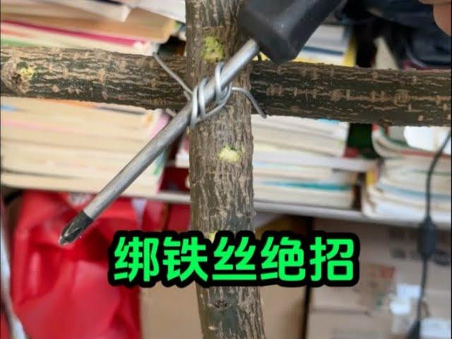 简单几步，教你如何绑铁丝绝招#电器 #维修 #修理 #供电