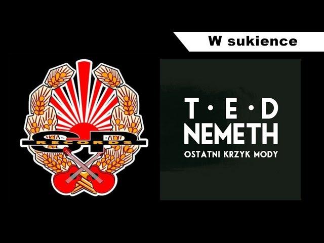 TED NEMETH - W sukience [OFFICIAL AUDIO]