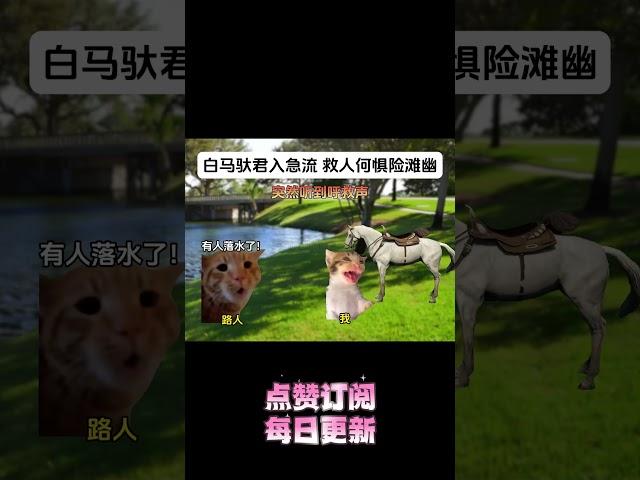 白马驮君入急流，救人何惧险滩幽  #猫meme #搞笑 #高能段子手 #沙雕剧情 #funny #猫meme小剧场 #小剧场 #内涵段子 #catmemes