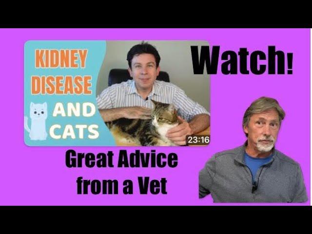 Kidney Disease & Cats.... Great Advice !