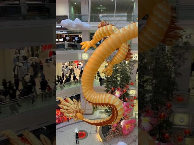 Dragons day Celebrations #beautifulcanada#India#canada#explore #travel