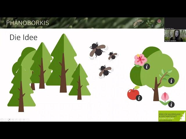 Phänoborkis - Der Borkenkäfer und seine Zeigerpflanzen im Wald (ÖKL Webinar 19.10.2022)